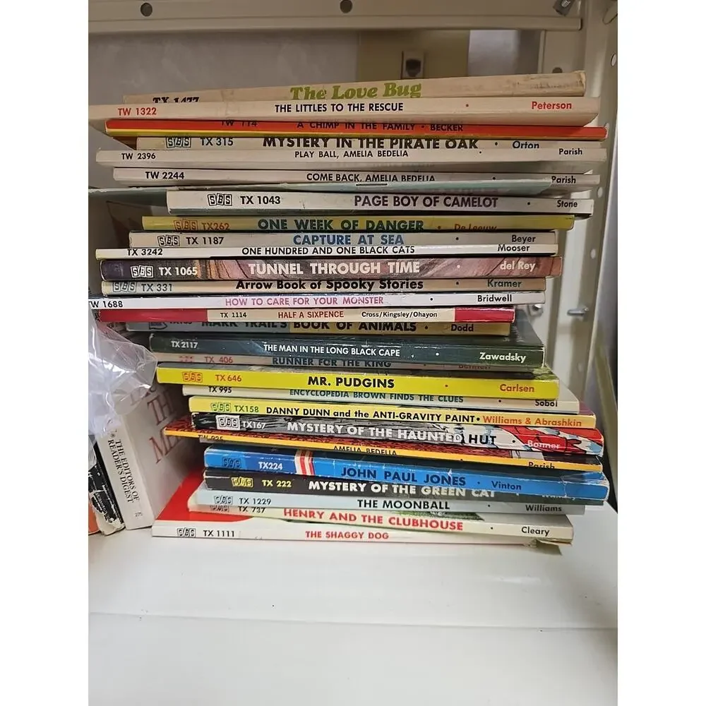 Vtg Lot SBS TX Scholastic & Others PB Books 1960s-90s VTG Variety Of Titles Rare